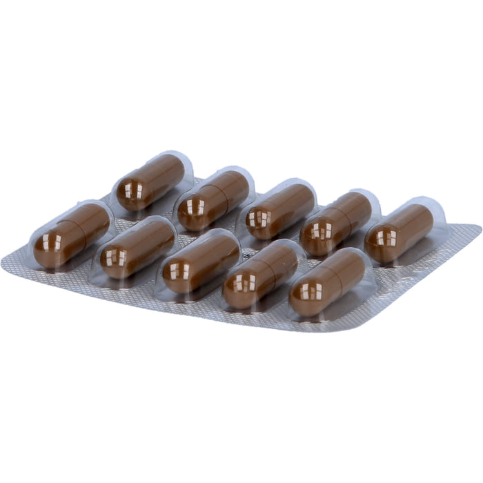 ORIFARM Essentiale Kapseln 300 mg, 250 pc Capsules