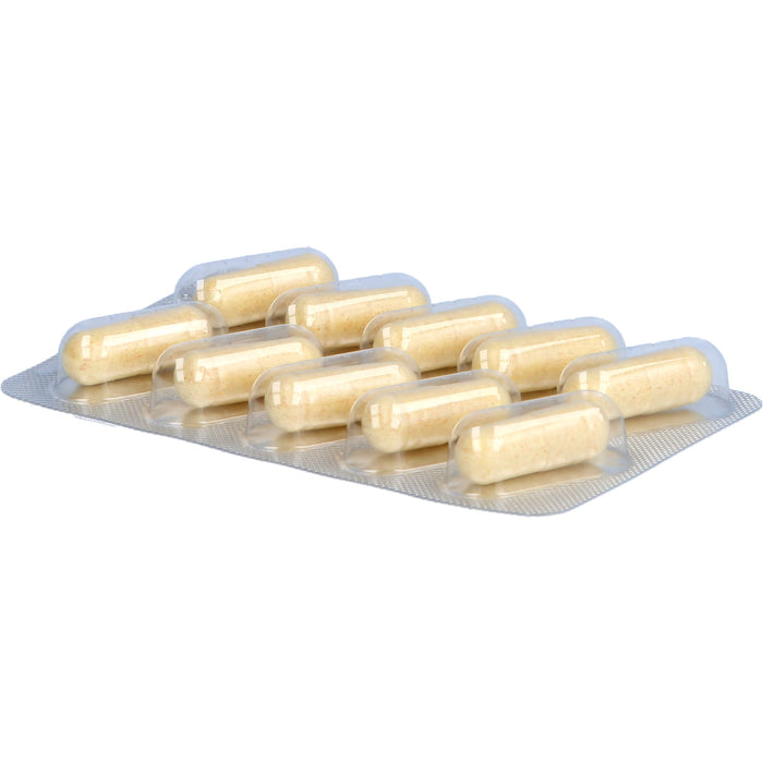 B-Komplex Intercell Kapseln, 60 pc Capsules