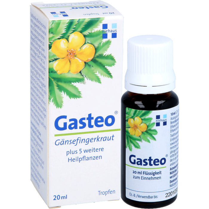 Gasteo Tropfen bei Verdauungsbeschwerden, 20 ml Lösung