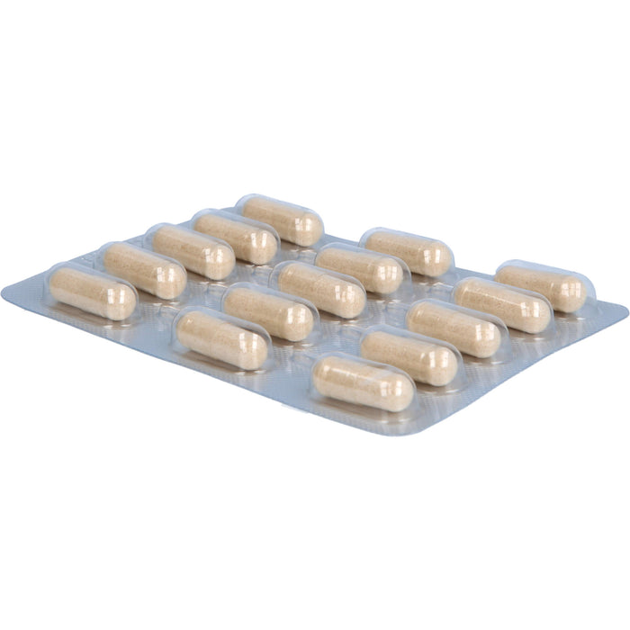 Sanalact Pro Laves Kapseln, 60 pcs. Capsules