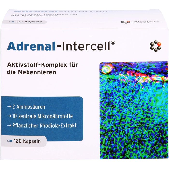 Adrenal-Intercell Aktiv-Komplex für die Nebennieren Kapseln, 120 pcs. Capsules