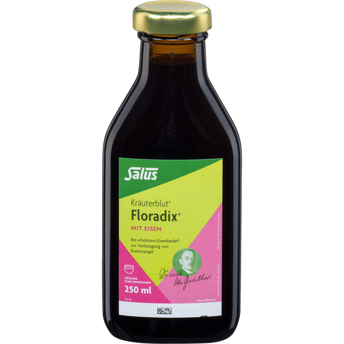 Floradix mit Eisen Lösung, 250 ml Lösung