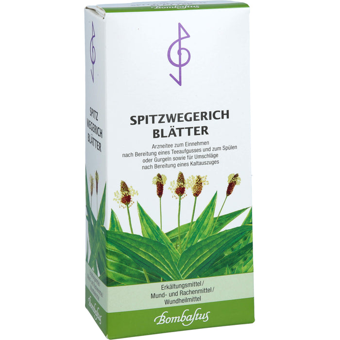 Bombastus Spitzwegerichblätter Erkältungsmittel / Mund- und Rachenmittel / Wundheilmittel, 75 g Tea