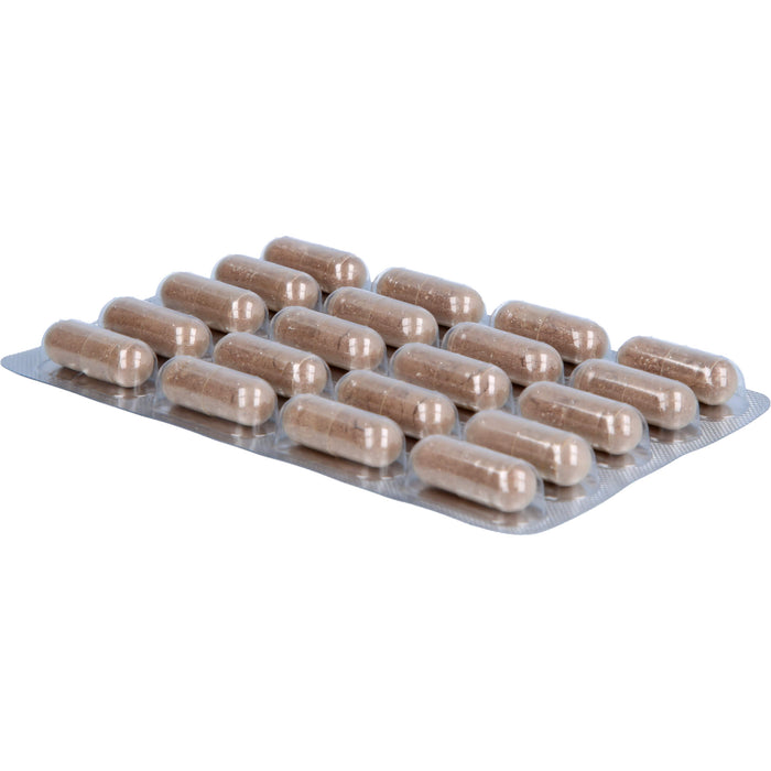 Cherry PLUS - Das Original Silence Kapseln, 60 pcs. Capsules