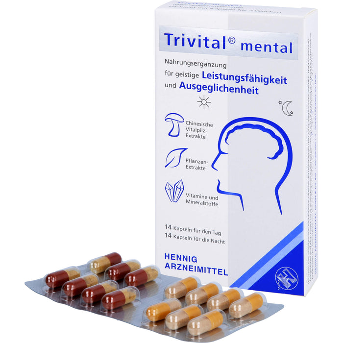 Trivital mental, 28 St KAP