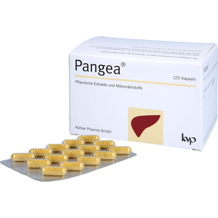 Pangea, 120 St KAP