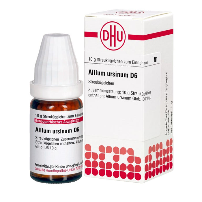 Allium ursinum D6 DHU Globuli, 10 g GLO