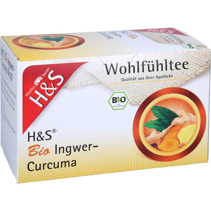 H&S Bio Ingwer-Curcuma, 20X1.25 g FBE