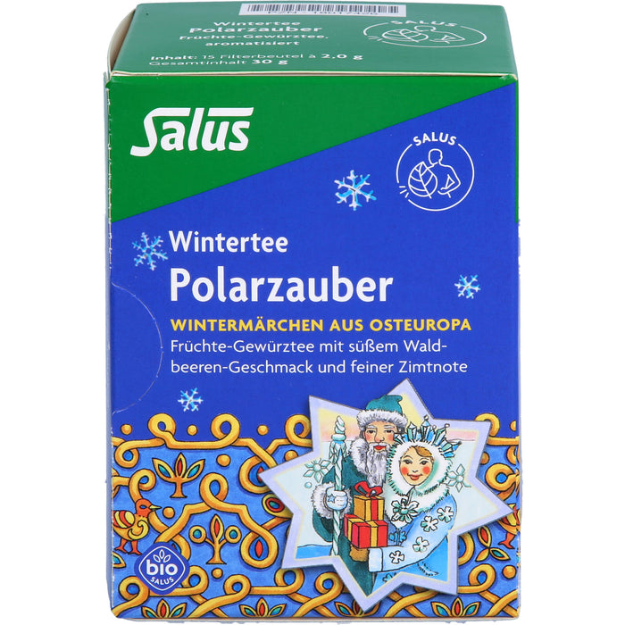 Polarzauber Früchte-Gewürztee bio Salus, 15 St FBE