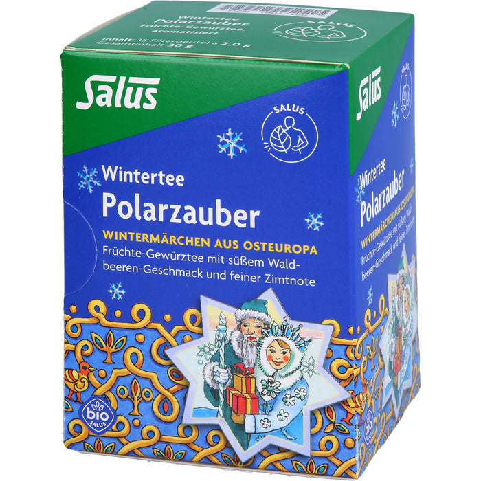 Polarzauber Früchte-Gewürztee bio Salus, 15 St FBE