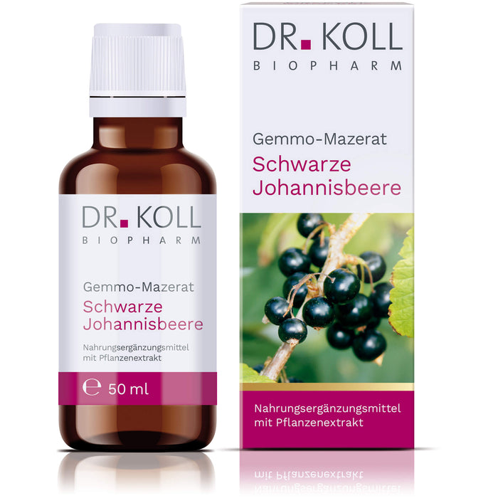 Gemmo-Mazerat schwarze Johannisbeere Dr.Koll Ribes, 50 ml TRO