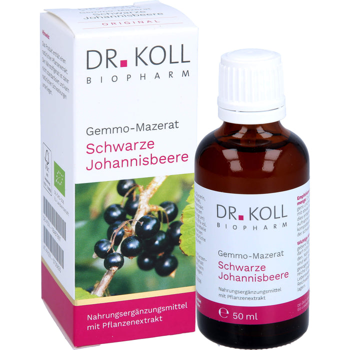 Gemmo-Mazerat schwarze Johannisbeere Dr.Koll Ribes, 50 ml TRO