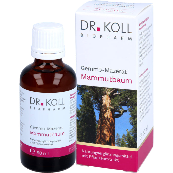 Gemmo-Mazerat Mammutbaum Dr. Koll Sequoia gigantea, 50 ml TRO