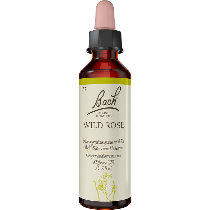 Bach Original Bach-Blüten Nr. 37 Wild Rose Heckenrose Tropfen, 20 ml Lösung