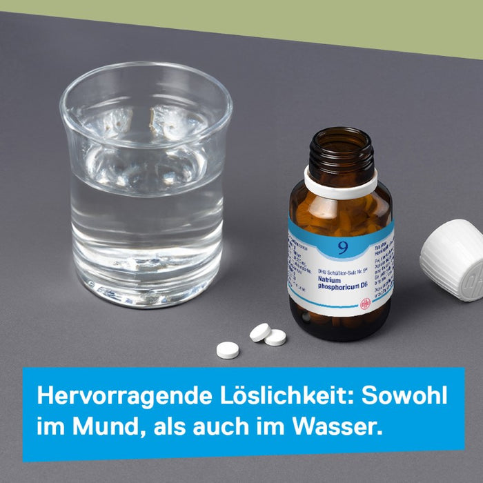 DHU Schüßler-Salz Nr. 9 Natrium phosphoricum D3 – Das Mineralsalz des Stoffwechsels – das Original – umweltfreundlich im Arzneiglas, 200 St. Tabletten