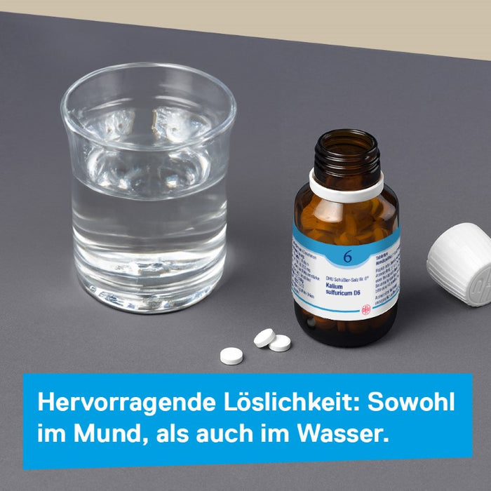 DHU Schüßler-Salz Nr. 6 Kalium sulfuricum D12 – Das Mineralsalz der Entschlackung – das Original – umweltfreundlich im Arzneiglas, 900 St. Tabletten