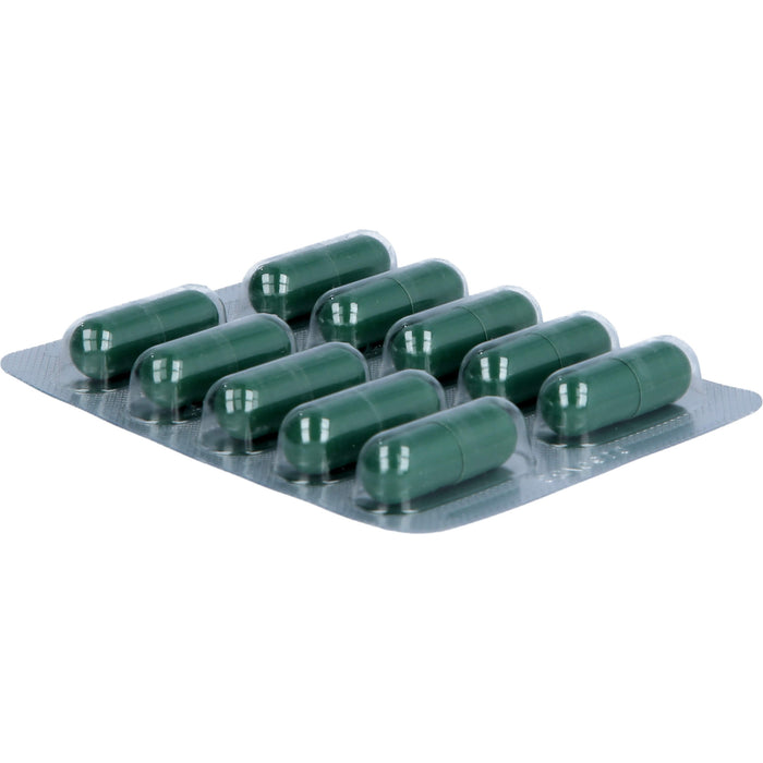 Heparstad 400 mg Hartkapseln, 100 pc Capsules