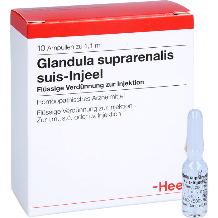 Glandula suprarenalis suis-Injeel Ampullen, 10 pcs. Ampoules