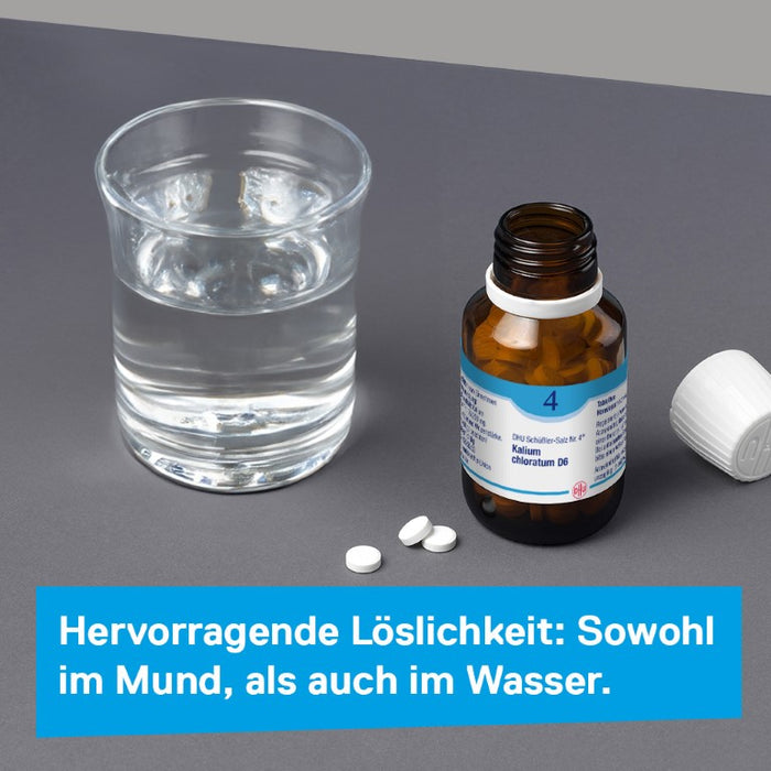 DHU Schüßler-Salz Nr. 4 Kalium chloratum D6 – Das Mineralsalz der Schleimhäute – das Original – umweltfreundlich im Arzneiglas, 900 pcs. Tablets