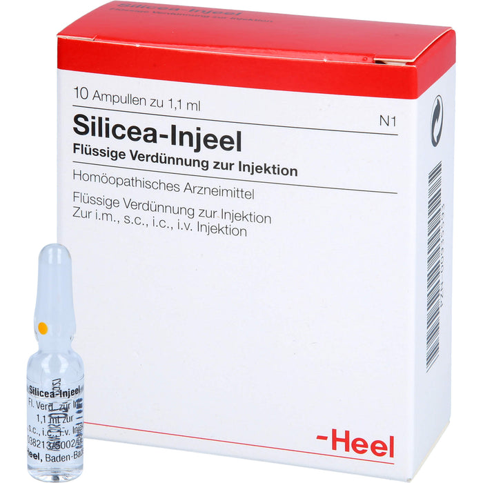 Heel Silicea-Injeel flüssige Verdünnung zur Injektion, 10 pcs. Ampoules