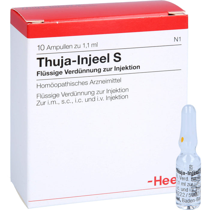 Thuja-Injeel S flüssige Verdünnung, 10 pcs. Ampoules