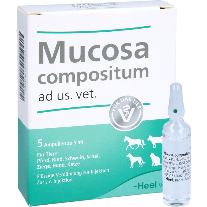 Heel Mucosa compositum ad us. vet. Ampullen, 5 pc Ampoules