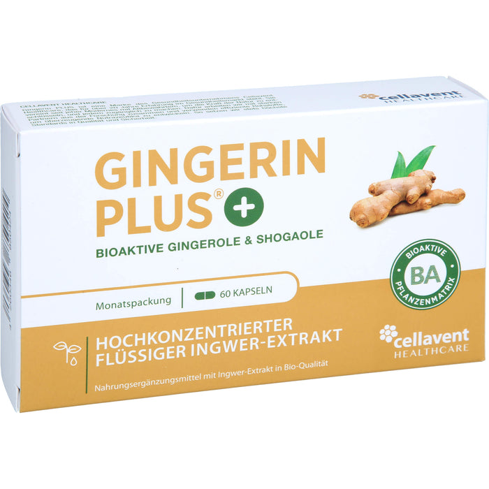 Gingerin PLUS, 60 St KAP