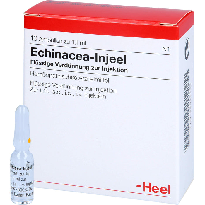 Echinacea-Injeel flüssige Verdünnung, 10 pcs. Ampoules