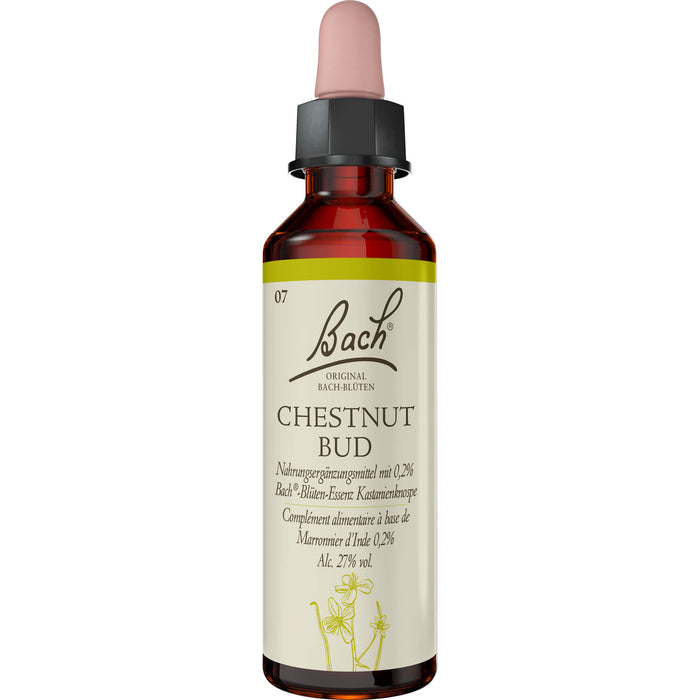 Bach-Blüte Chestnut Bud, 20 ml Lösung