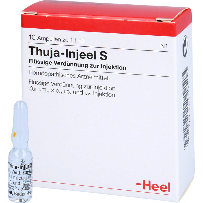 Thuja-Injeel S flüssige Verdünnung, 10 pcs. Ampoules