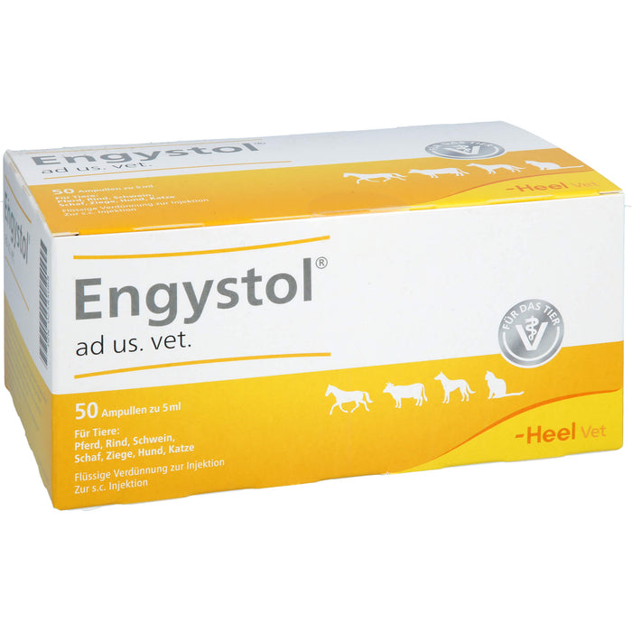 Engystol ad us. vet. Ampullen, 50 pcs. Ampoules