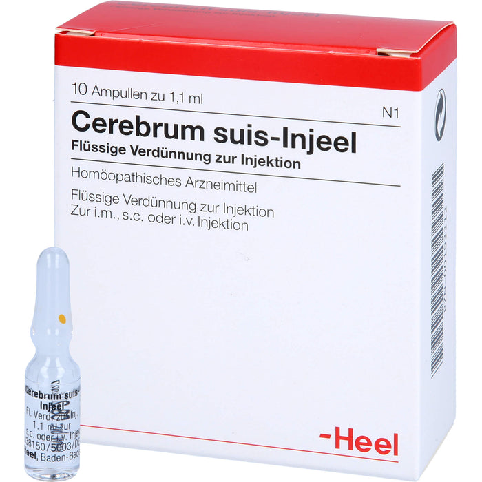 Cerebrum suis-Injeel flüssige Verdünnung, 10 pcs. Ampoules