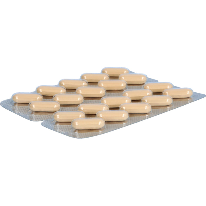 teufelskralle-Loges Tabletten bei Erkankungen des Bewegungs- und Stützapparates, 100 pcs. Tablets