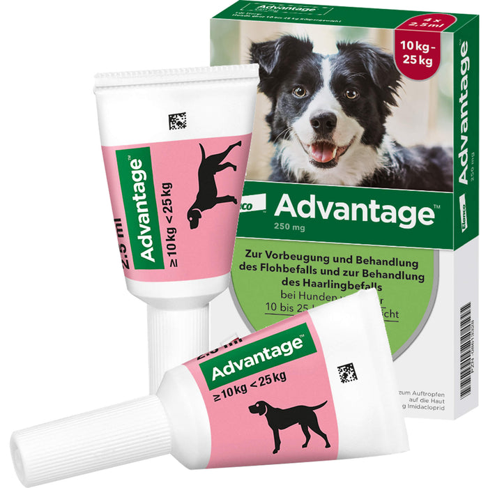 Advantage 250 mg Lösung zum Auftropfen bei Hunden, 4 St. Ampullen