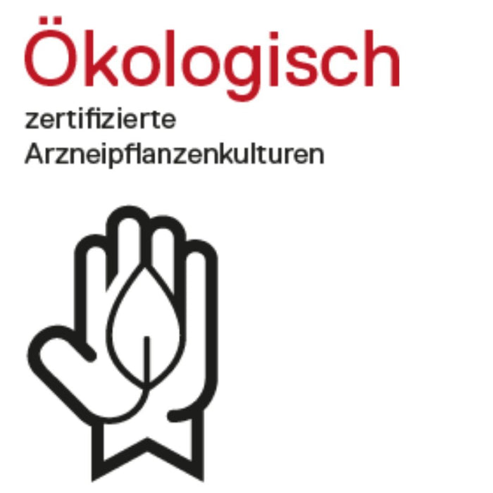 DHU Okoubaka D12 Streukügelchen, 10 g Globuli