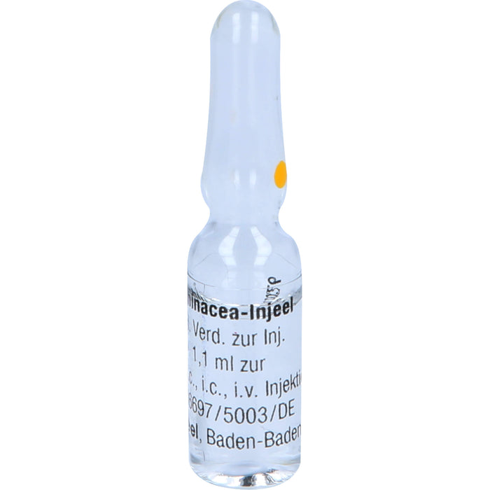 Echinacea-Injeel flüssige Verdünnung, 10 pcs. Ampoules