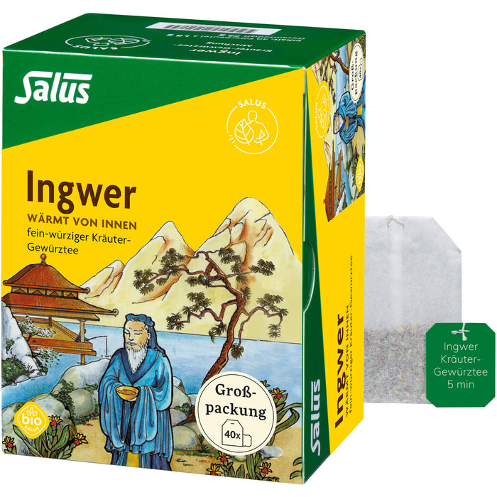 Ingwer Kräuter-Gewürztee-Mischung bio Salus, 40 St FBE