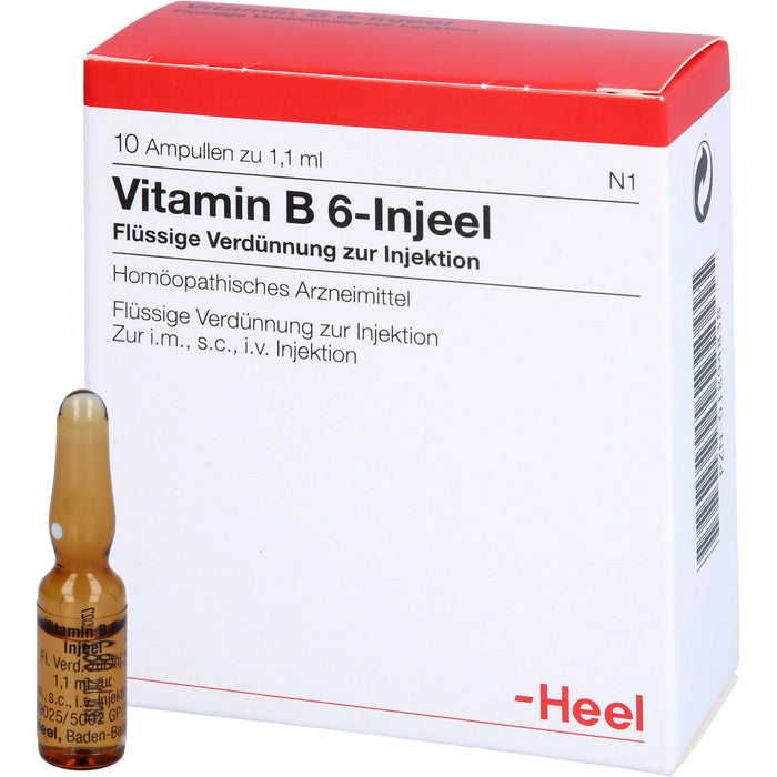 Vitamin B 6 Injeel Amp., 10 St AMP