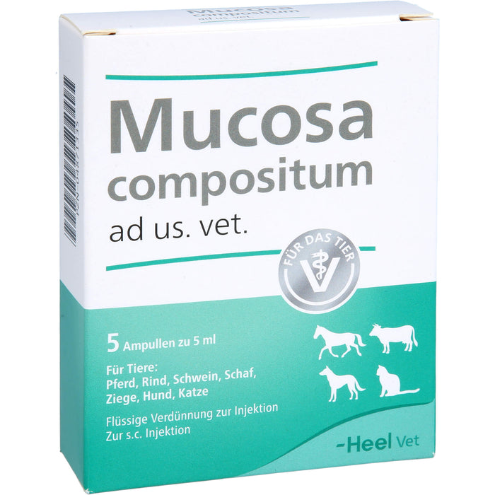 Heel Mucosa compositum ad us. vet. Ampullen, 5 pc Ampoules