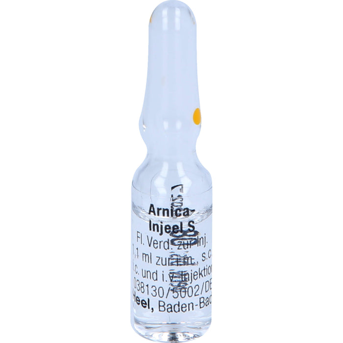 Arnica-Injeel S Inj.-Lsg., 10 pcs. Ampoules